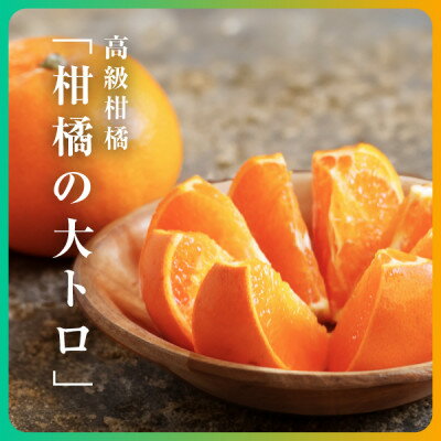 【ふるさと納税】三代目の柑橘の大トロ【せとか】2kg/3kg/4kg【配送不可地域：離島】【G1071620】 サムネイル3