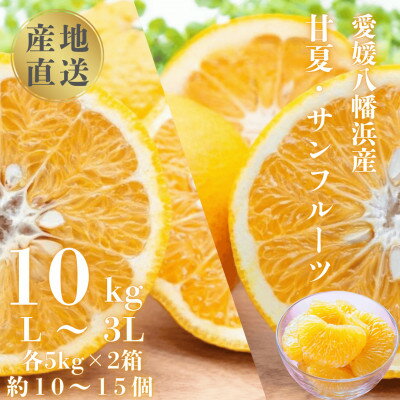 甘夏&サンフルーツ各5kg【D20-10】_ みかん ミカン 柑橘 くだもの 果物 フルーツ 甘夏 あまなつ サンフルーツ ジューシー 甘い 常温 デザート 産地直送 産直 愛媛 人気 食べ比べ セット 【1094576】
