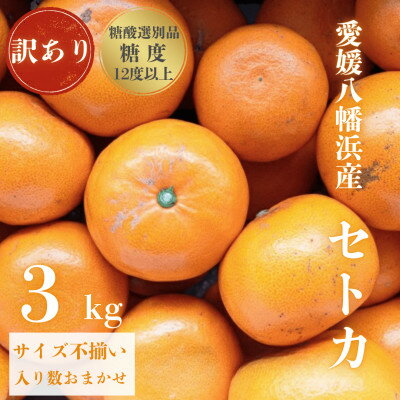 ＼みかんの大トロ/糖度12.0以上酸1.4以下 糖酸選別品 訳あり 愛媛セトカ3kg【C20-14】_ せとか ミカン みかん 蜜柑 柑橘類 柑橘 フルーツ 果物 くだもの 訳アリ わけあり 人気 美味しい 愛媛県 八幡浜市 ふるさと 【1094586】