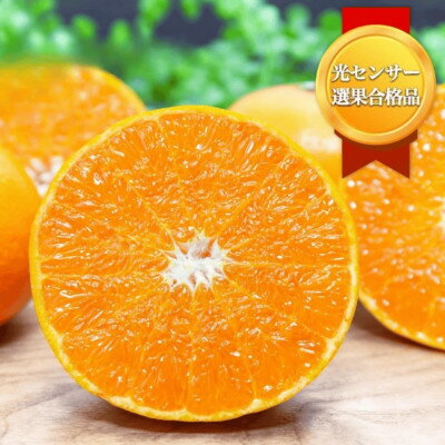 【ふるさと納税】＼みかんの大トロ/糖度12.0以上酸1.4以下 糖酸選別品 訳あり 愛媛セトカ3kg【C20-14】_ せとか ミカン みかん 蜜柑 柑橘類 柑橘 フルーツ 果物 くだもの 訳アリ わけあり 人気 美味しい 愛媛県 八幡浜市 ふるさと 【1094586】 サムネイル2
