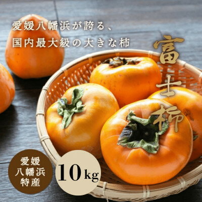 《八幡浜特産 国内最大級の 柿》 富士柿 10kg【D20-2】_ 柿 国産 フルーツ 果物 くだもの 人気 大きい 愛媛 旬 産地直送 産直 種なし 甘柿 スイーツ デザート おやつ コリコリ おすすめ 【1094599】