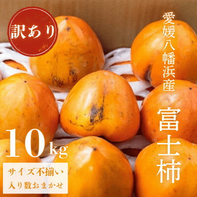 《八幡浜特産 国内最大級の 柿》 富士柿 10kg 種無し【訳あり】【F20-22】_ 20個 ~ 32個 柿 かき カキ 希少 わけあり 種なし たねなし 送料無料 家庭用 愛媛 国産 フルーツ 果物 くだもの 旬 Lサイズ 不揃い 美味しい 高級 【1094601】