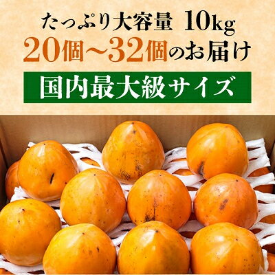 【ふるさと納税】《八幡浜特産 国内最大級の 柿》 富士柿 10kg 種無し【訳あり】【F20-22】_ 20個 ~ 32個 柿 かき カキ 希少 わけあり 種なし たねなし 送料無料 家庭用 愛媛 国産 フルーツ 果物 くだもの 旬 Lサイズ 不揃い 美味しい 高級 【1094601】 サムネイル3