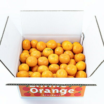 【ふるさと納税】【糖度11度以上 酸1.0以下 糖酸選別品】愛媛みかん 10kg【D20-3】_ みかん ミカン 柑橘 くだもの 果物 フルーツ 甘い 常温 デザート 産地直送 産直 愛媛 【1094602】 サムネイル2