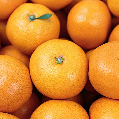 【ふるさと納税】【糖度11度以上 酸1.0以下 糖酸選別品】愛媛みかん 10kg【D20-3】_ みかん ミカン 柑橘 くだもの 果物 フルーツ 甘い 常温 デザート 産地直送 産直 愛媛 【1094602】 サムネイル3