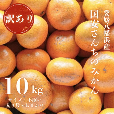 【創業85年 親子4代 愛媛みかん 一筋】訳あり 愛媛みかん 10kg【C20-12】_ 訳アリ わけあり ワケアリミカン みかん フルーツ 果物 くだもの 家庭用 人気 柑橘 かんきつ 不揃い 規格外 傷 愛媛 旬 産地直送 産直 季節限定 【1094603】