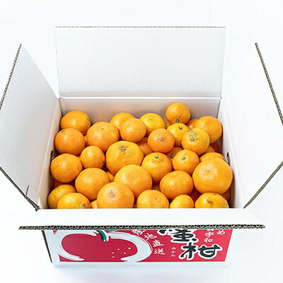 【ふるさと納税】【創業85年 親子4代 愛媛みかん 一筋】訳あり 愛媛みかん 10kg【C20-12】_ 訳アリ わけあり ワケアリミカン みかん フルーツ 果物 くだもの 家庭用 人気 柑橘 かんきつ 不揃い 規格外 傷 愛媛 旬 産地直送 産直 季節限定 【1094603】 サムネイル3