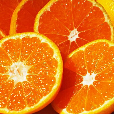 【ふるさと納税】厳選　甘ーい小玉!西宇和みかん(ハローキティパッケージ)約3.5kg入【C24-7】_ みかん ミカン 蜜柑 柑橘 柑橘類 フルーツ 果物 くだもの 人気 美味しい 愛媛県 八幡浜 ふるさと 【1121015】 サムネイル3