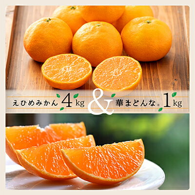 コウ果樹園の「えひめみかん4kg・華まどんな1kg 詰め合せ」【D33-12】_ みかん ミカン 蜜柑 フルーツ 果物 くだもの 人気 美味しい 柑橘類 柑橘 愛媛県 八幡浜市 ふるさと 【1123769】