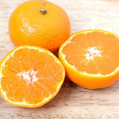 小林果園の愛媛みかん(約5kg)【訳あり】【C24-15】【1124421】