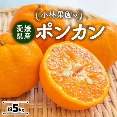 小林果園のポンカン(約5kg)【C24-18】_ みかん ミカン 柑橘 ポンカン ぽんかん フルーツ くだもの 果物 ふるーつ 青果 果実 甘い ジューシー 産直 産地直送 旬 柑橘類 人気 愛媛 果汁 八幡浜市 【1124424】