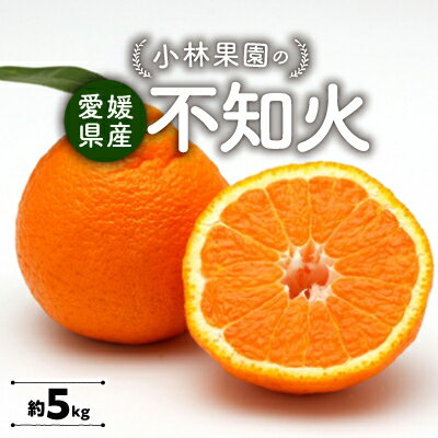 小林果園の不知火(約5kg)【C24-20】_ みかん ミカン 柑橘 しらぬい 不知火 フルーツ くだもの 果物 ふるーつ 青果 果実 甘い ジューシー 産直 産地直送 旬 柑橘類 人気 愛媛 果汁 八幡浜市 【1124426】
