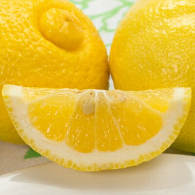 【ふるさと納税】小林果園のせとか&はるかセット(各約2.5kg入)【C24-23】【1124429】 サムネイル2