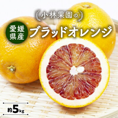 小林果園のブラッドオレンジ(約5kg)【C24-24】【1124430】