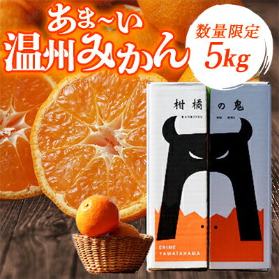 あまーい温州みかん(南柑20号みかん)5kg[数量限定]【C56-7】_ みかん 蜜柑 ミカン フルーツ 果物 くだもの 人気 美味しい 柑橘類 柑橘 愛媛県 八幡浜市 ふるさと 【1128575】
