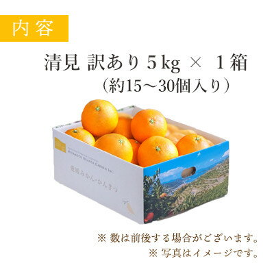 【ふるさと納税】【2026年4月上旬出荷】果汁たっぷり ジューシー清見5kg(訳あり)【D25-138】_ 清見 きよみ 柑橘 かんきつ オレンジ みかん フルーツ 果物 くだもの ふるーつ 産地直送 国産 送料無料 限定 甘い ジューシー 果汁 【1138006】 サムネイル2