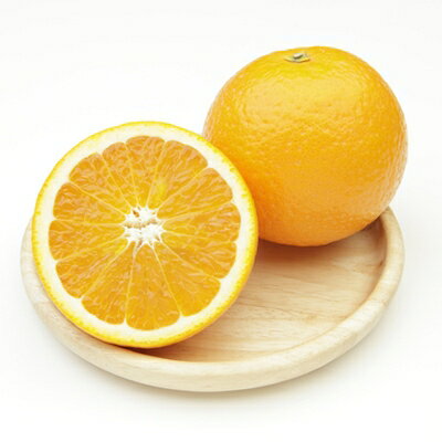 八幡浜産・きよみ5kg[数量限定!]【C56-14】【1141509】