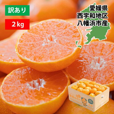 【2025年11月より順次発送】八幡浜産愛媛みかん2kg/3kg/5kg/7kg/10kg【訳あり】_ みかん ミカン 蜜柑 訳あり 愛媛みかん 7kg 果物 くだもの フルーツ 甘い おいしい かんきつ 柑橘 柑橘類 国産 愛媛 愛媛県 八幡浜市 産直 産地直送 送料無料 【G1166251】