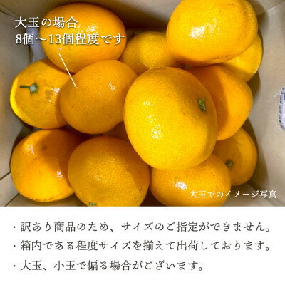 【ふるさと納税】【2025年11月より順次発送】八幡浜産愛媛みかん2kg/3kg/5kg/7kg/10kg【訳あり】_ みかん ミカン 蜜柑 訳あり 愛媛みかん 7kg 果物 くだもの フルーツ 甘い おいしい かんきつ 柑橘 柑橘類 国産 愛媛 愛媛県 八幡浜市 産直 産地直送 送料無料 【G1166251】 サムネイル2