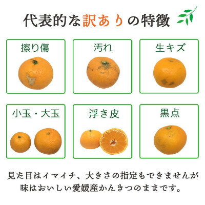 【ふるさと納税】【2025年11月より順次発送】八幡浜産愛媛みかん2kg/3kg/5kg/7kg/10kg【訳あり】_ みかん ミカン 蜜柑 訳あり 愛媛みかん 7kg 果物 くだもの フルーツ 甘い おいしい かんきつ 柑橘 柑橘類 国産 愛媛 愛媛県 八幡浜市 産直 産地直送 送料無料 【G1166251】 サムネイル3