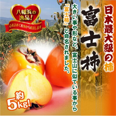 甘さにニッコリ日本最大級の柿「富士柿」約5キロ 【D39-15】_ 柿 カキ かき 果物 くだもの フルーツ 果実 青果 旬 秋の味覚 甘い 5kg 国産 愛媛 産地直送 産直 【配送不可地域：離島・北海道・沖縄県】【1236930】