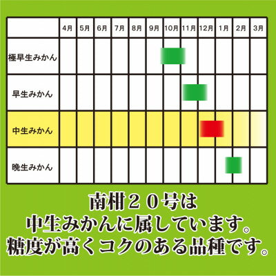 【ふるさと納税】M、Sサイズでお届け・濃厚な味わい! 井上農園「南柑20号」約5kg 【C39-12】_ みかん ミカン 柑橘 温州 果物 くだもの フルーツ 旬 愛媛 コク 甘み 国産 産直 産地直送 S M 5kg 食べやすい サイズ限定 【1245424】 サムネイル3