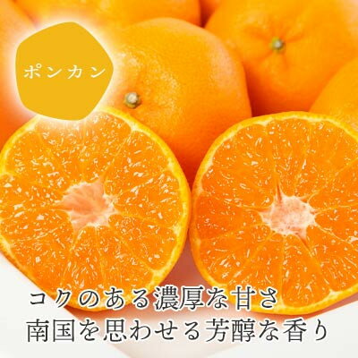 【ふるさと納税】【2026年1月以降発送】愛媛の新春柑橘 芳醇な香りのポンカン 5kg【訳あり】【C25-135】_ みかん ミカン 柑橘 フルーツ ふるーつ 果物 くだもの 青果 ワケアリ 訳あり 訳アリ 甘い ポンカン ぽんかん 愛媛 規格外 傷 不揃い 産直 産地直送 【1248059】 サムネイル2