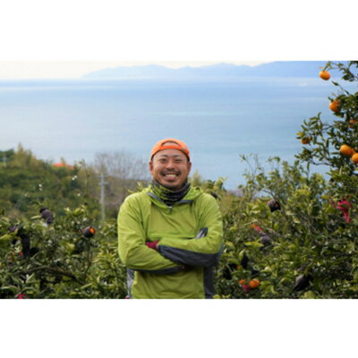 【ふるさと納税】柑橘の鬼たちがつくる八幡浜産・鬼マドンナ(2.7kg～3.0kg)[贈答用]【E56-16】_ みかん ミカン 蜜柑 柑橘 柑橘類 フルーツ 果物 くだもの 愛媛県 八幡浜市 ふるさと 【配送不可地域：離島】【1250206】 サムネイル3