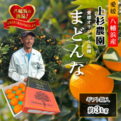 ギフト対応化粧箱入・上杉農園のぷるぷる新食感!「マドンナ」約3kg【D39-16】_ マドンナ みかん ミカン 愛媛県 フルーツ 果物 くだもの 柑橘 かんきつ 人気 限定 産地直送 産直 ジューシー 甘い 果汁 糖度 大玉 【1251804】
