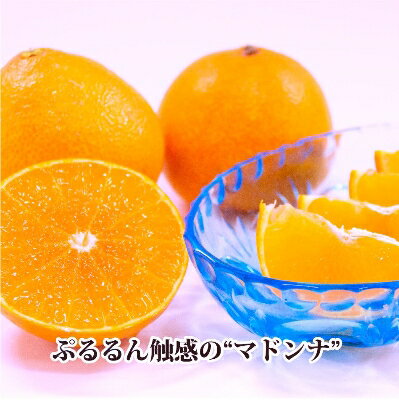 【ふるさと納税】2025年11月発送開始　ぷるぷる新食感!「マドンナ」+濃厚!「小玉みかん」約5kg【D39-32】_ みかん ミカン まどんな マドンナ フルーツ 果物 くだもの セット 食べ比べ 旬 甘い ジューシー 温州 愛媛 5kg 濃厚 【1252242】 サムネイル2