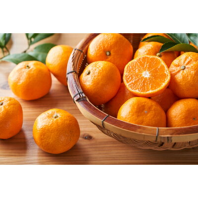 【ふるさと納税】柑橘の鬼たちがつくる八幡浜産・温州みかん8kg[家庭用]【C56-17】_ みかん ミカン 柑橘 フルーツ くだもの 果物 青果 ふるーつ 甘い 温州 家庭用 ジューシー 旬 期間限定 【配送不可地域：離島】【1252943】 サムネイル2