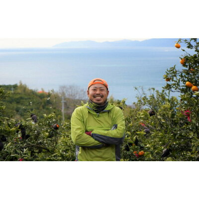 【ふるさと納税】平均糖度13度!愛媛のみで生産の希少品種「媛小春」(2.8kg～3.0kg)【D56-18】_ ミカン みかん 常温 フルーツ 果物 くだもの 人気 柑橘 かんきつ 愛媛 旬 産地直送 産直 季節限定 高級 限定 【配送不可地域：離島】【1262001】 サムネイル2