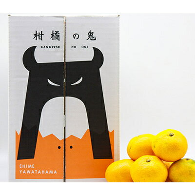 【ふるさと納税】平均糖度13度!愛媛のみで生産の希少品種「媛小春」(2.8kg～3.0kg)【D56-18】_ ミカン みかん 常温 フルーツ 果物 くだもの 人気 柑橘 かんきつ 愛媛 旬 産地直送 産直 季節限定 高級 限定 【配送不可地域：離島】【1262001】 サムネイル3