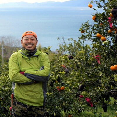 【ふるさと納税】平均糖度13度!愛媛のみで生産の希少品種「媛小春」(5kg)【E56-19】_ ミカン 蜜柑 みかん フルーツ くだもの 果物 人気 美味しい 愛媛県 八幡浜市 ふるさと 【配送不可地域：離島】【1262003】 サムネイル2