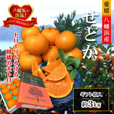 2026年2月～順次発送　柑橘の大トロ「せとか」約3kg 【D39-6】_ みかん ミカン 柑橘 せとか 果物 くだもの フルーツ 旬 青果 愛媛 柑橘の大トロ 3kg 濃厚 甘み 化粧箱 国産 産直 産地直送 【1262187】