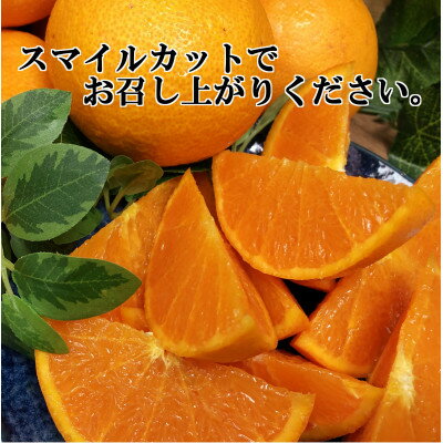 【ふるさと納税】2026年2月～順次発送　柑橘の大トロ「せとか」約3kg 【D39-6】_ みかん ミカン 柑橘 せとか 果物 くだもの フルーツ 旬 青果 愛媛 柑橘の大トロ 3kg 濃厚 甘み 化粧箱 国産 産直 産地直送 【1262187】 サムネイル3