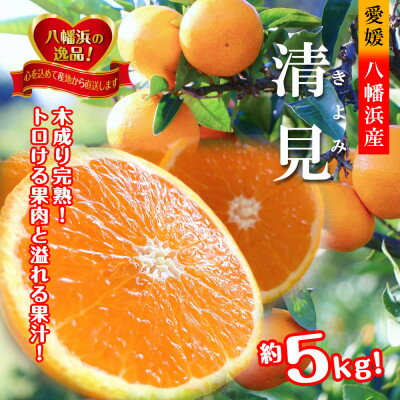 2026年3月出荷開始　完熟・果汁たっぷり!!「きよみ」約5kg　【D39-34】【1262235】