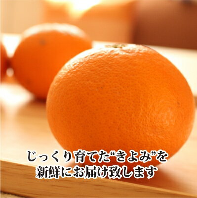 【ふるさと納税】2026年3月出荷開始　完熟・果汁たっぷり!!「きよみ」約5kg　【D39-34】【1262235】 サムネイル2