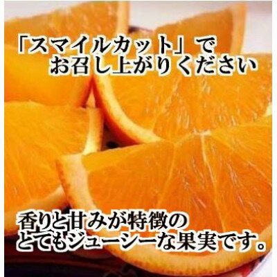 【ふるさと納税】2026年3月出荷開始　完熟・果汁たっぷり!!「きよみ」約5kg　【D39-34】【1262235】 サムネイル3