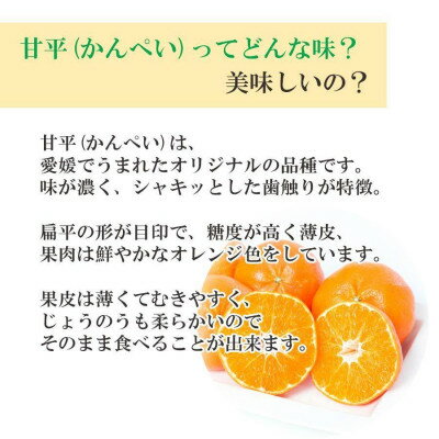 【ふるさと納税】【2026年2月より順次発送】愛媛限定栽培柑橘 甘平(かんぺい) 2kg / 3kg_ かんぺい 甘平 柑橘 フルーツ 果物 くだもの みかん 人気 おすすめ 送料無料 愛媛県 八幡浜 濃厚 甘い 【G1268366】 サムネイル2