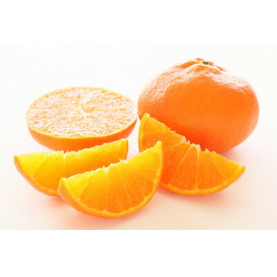 【ふるさと納税】柑橘の鬼たちがつくる八幡浜産・甘平(2.7kg～3.0kg)[贈答用]【E56-22】_ ミカン みかん 甘平 かんぺい ジューシー 常温 フルーツ 果物 くだもの 人気 柑橘 かんきつ 愛媛 旬 産地直送 産直 季節限定 高級 【1270403】 サムネイル2