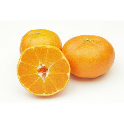 【ふるさと納税】柑橘の鬼たちがつくる八幡浜産・甘平(2.7kg～3.0kg)[贈答用]【E56-22】_ ミカン みかん 甘平 かんぺい ジューシー 常温 フルーツ 果物 くだもの 人気 柑橘 かんきつ 愛媛 旬 産地直送 産直 季節限定 高級 【1270403】 サムネイル3