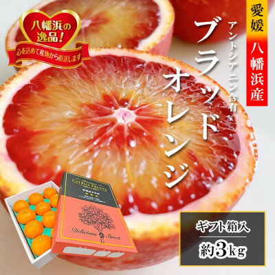 2026年3月出荷開始　アントシアニン含有!「ブラッドオレンジ」約3キロ 【C39-9】_ ブラッドオレンジ オレンジ 果物 くだもの フルーツ 果実 青果 旬 濃厚 高糖度 3kg 国産 愛媛 産地直送 産直 人気 おすすめ 【配送不可地域：離島】【1280627】