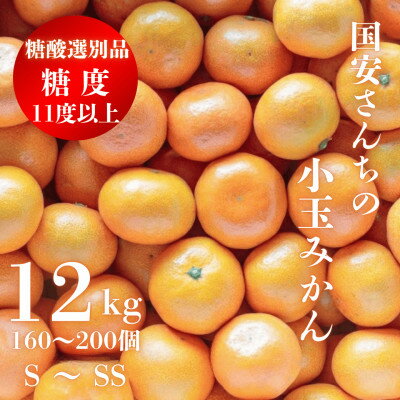 糖度11.0以上　国安さんちの厳選小玉みかん　12kg【H20-30】_ みかん ミカン 柑橘 くだもの 果物 フルーツ 温州 小玉 ジューシー 甘い 常温 デザート 産地直送 産直 愛媛 人気 【1323622】