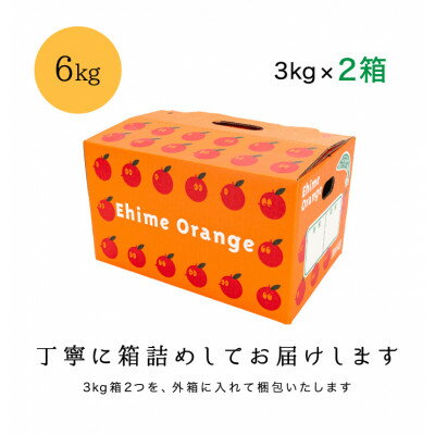 【ふるさと納税】糖度11.0以上　国安さんちの厳選小玉みかん 6kg(3kg×2箱)【F20-29】_ みかん ミカン 柑橘 くだもの 果物 フルーツ 温州 小玉 ジューシー 甘い 2箱 セット 常温 デザート 産地直送 産直 愛媛 人気 【1323624】 サムネイル3