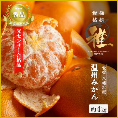 極撰柑橘【雅】光センサー合格品「八幡浜温州みかん」4キロ 【C39-41】_ 蜜柑 みかん ミカン 柑橘類 柑橘 フルーツ 果物 くだもの 人気 美味しい 愛媛県 八幡浜市 ふるさと 【配送不可地域：離島】【1339046】