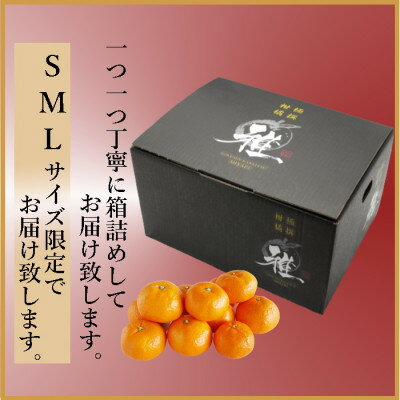 【ふるさと納税】極撰柑橘【雅】光センサー合格品「八幡浜温州みかん」4キロ 【C39-41】_ 蜜柑 みかん ミカン 柑橘類 柑橘 フルーツ 果物 くだもの 人気 美味しい 愛媛県 八幡浜市 ふるさと 【配送不可地域：離島】【1339046】 サムネイル3