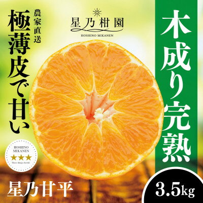 星乃みかん園の星乃甘平(3.5kg)【D45-46】【1339329】