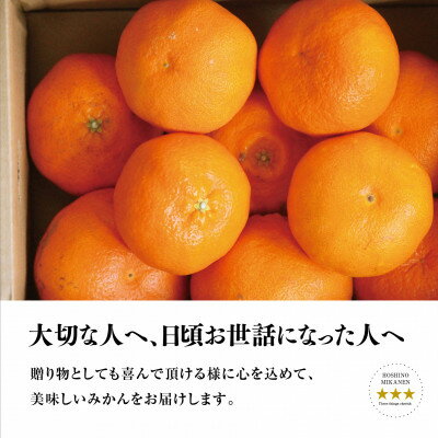 【ふるさと納税】星乃みかん園の星乃甘平(3.5kg)【D45-46】【1339329】 サムネイル3