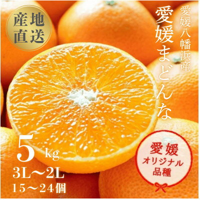 産地直送 国安さんちの愛媛まどんな 贈答用 約5kg 【H20-31】_ みかん ミカン 蜜柑 柑橘 柑橘類 マドンナ 紅まどんな同品種 フルーツ 果物 くだもの 人気 美味しい 愛媛県 八幡浜市 ふるさと 【1340000】